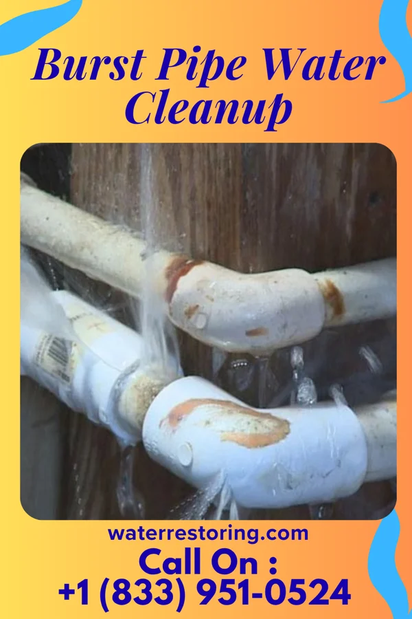 Burst Pipe Water Cleanup in Englewood, TN