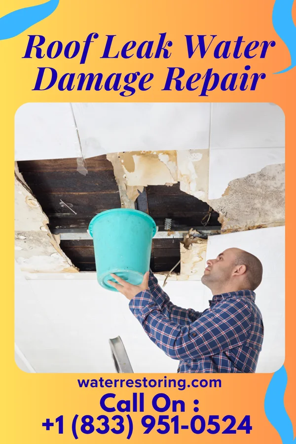 Roof Leak Water Damage Repair in Englewood, TN