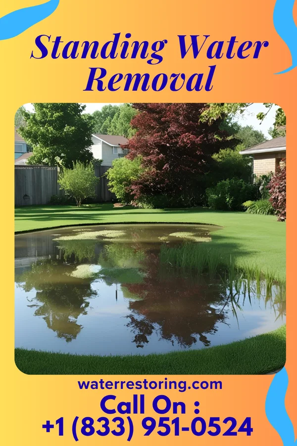 Standing Water Removal in Englewood, TN
